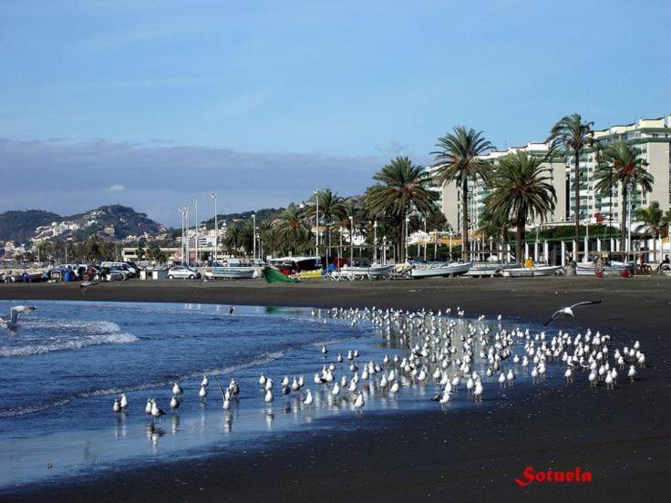 Apartamento El Dorado Cerca Del Mar マラガ エクステリア 写真